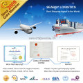 Porfessional Shipping Logistics Service From China to Worldwide